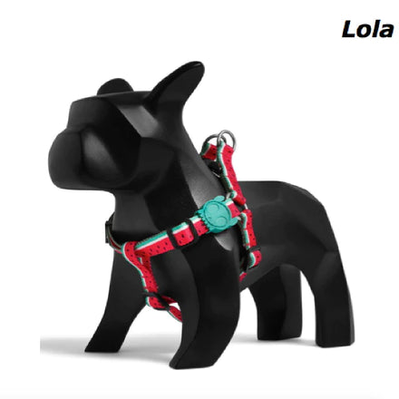 Zee.Dog - Lola Step In Harness