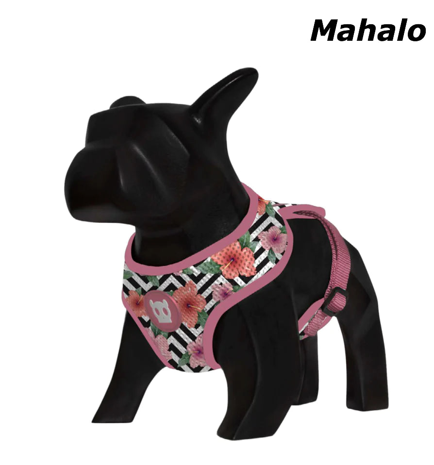 Zee.Dog - Mahalo Air Mesh Harness