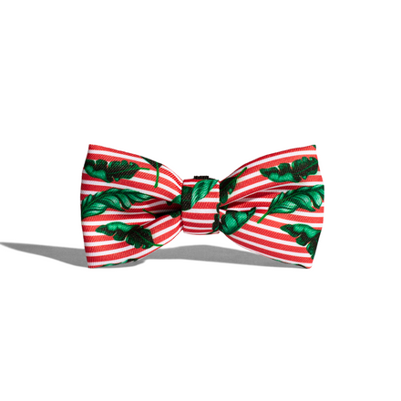 Zee.Dog - Bali Bow Tie