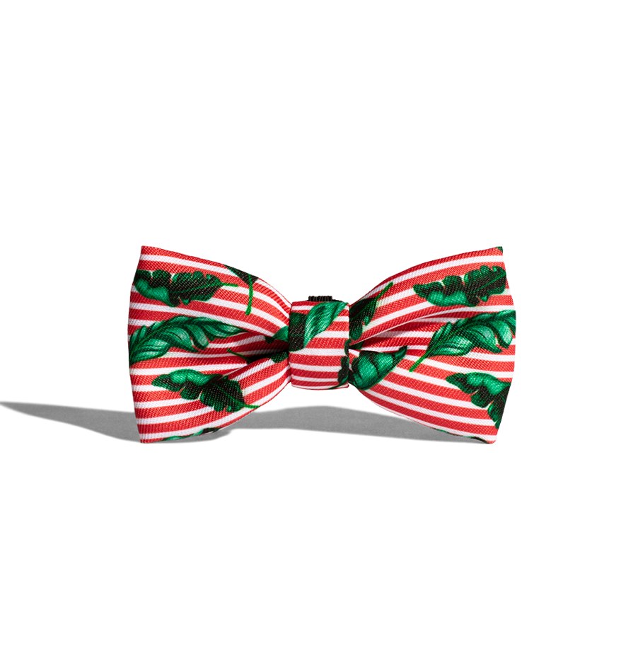 Zee.Dog - Bali Bow Tie