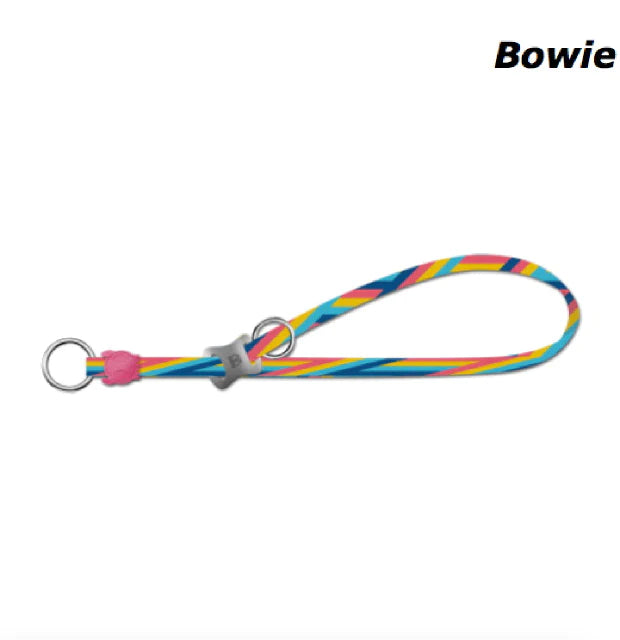Zee.Dog - Bowie Obedience Collar