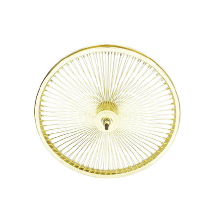 20" 144 Spoke Front Wheel Gold