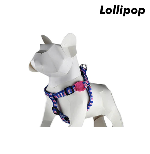 Zee.Dog - Lollipop Step In Harness