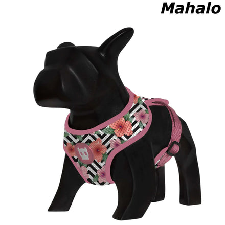 Zee.Dog - Mahalo Air Mesh Harness