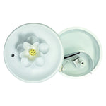 Pioneer Pet - Magnolia Drinking Fountain