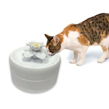Load image into Gallery viewer, Pioneer Pet - Magnolia Drinking Fountain
