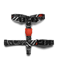 Zee.Dog - Paisley H Harness