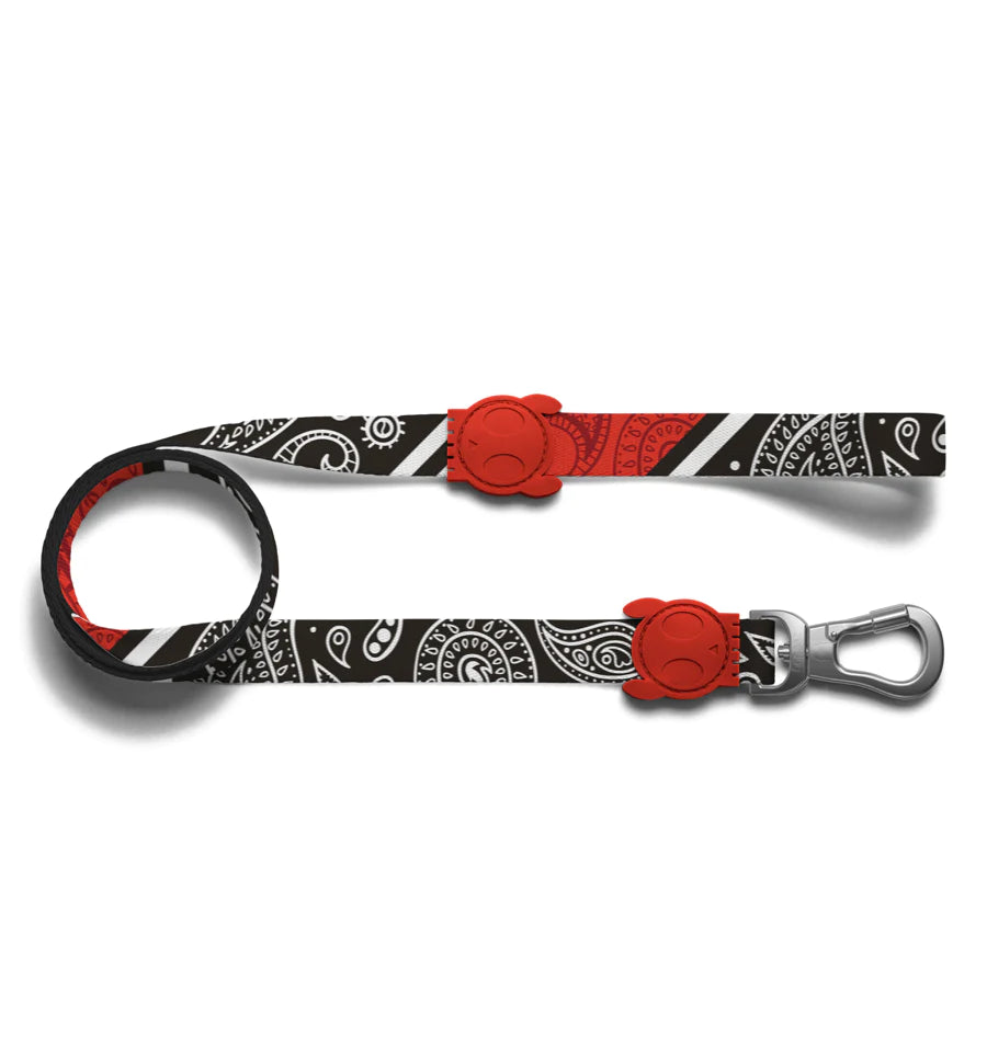 Zee.Dog - Paisley Leash