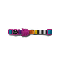 Zee.Dog - Prisma Cat Collar