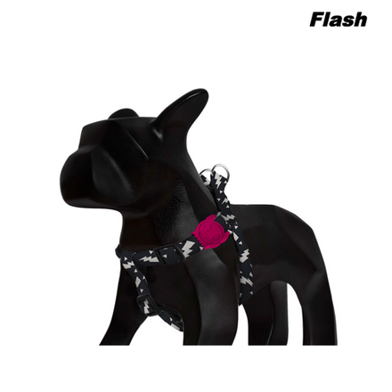 Zee.Dog - Flash Step In Harness