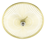 26" 144 Spoke Rear Coaster Wheel Gold